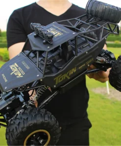 RC Car 2.4G Radio Control 1:12 / 1:16 4WD